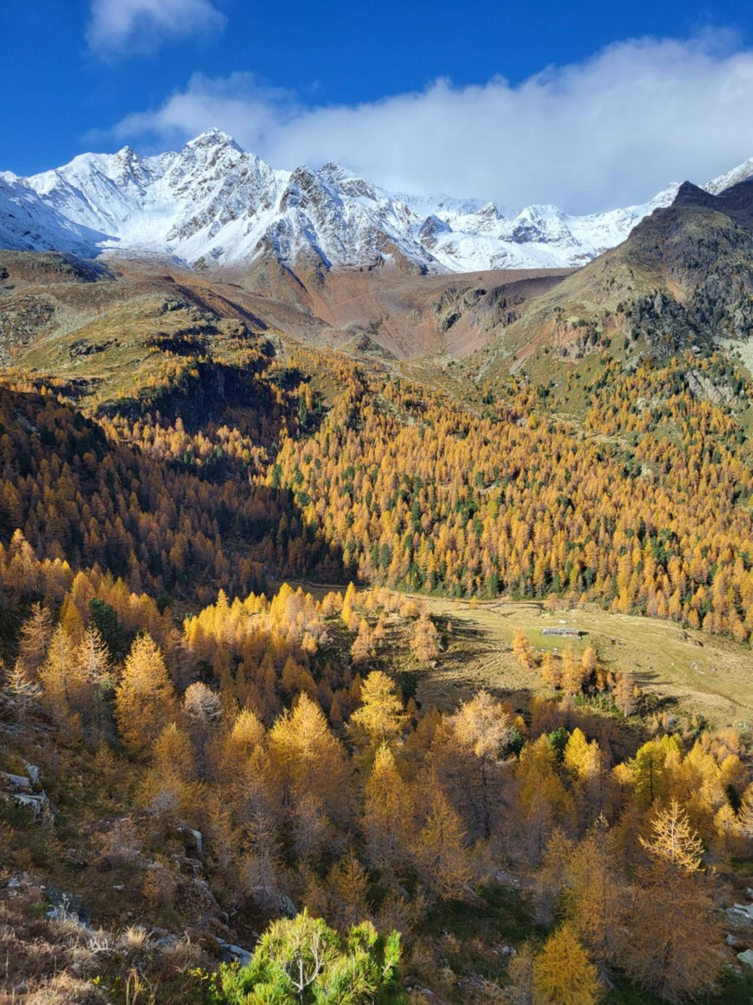Natur Pur Hotel Unterpichl Ultimo Luaran gambar