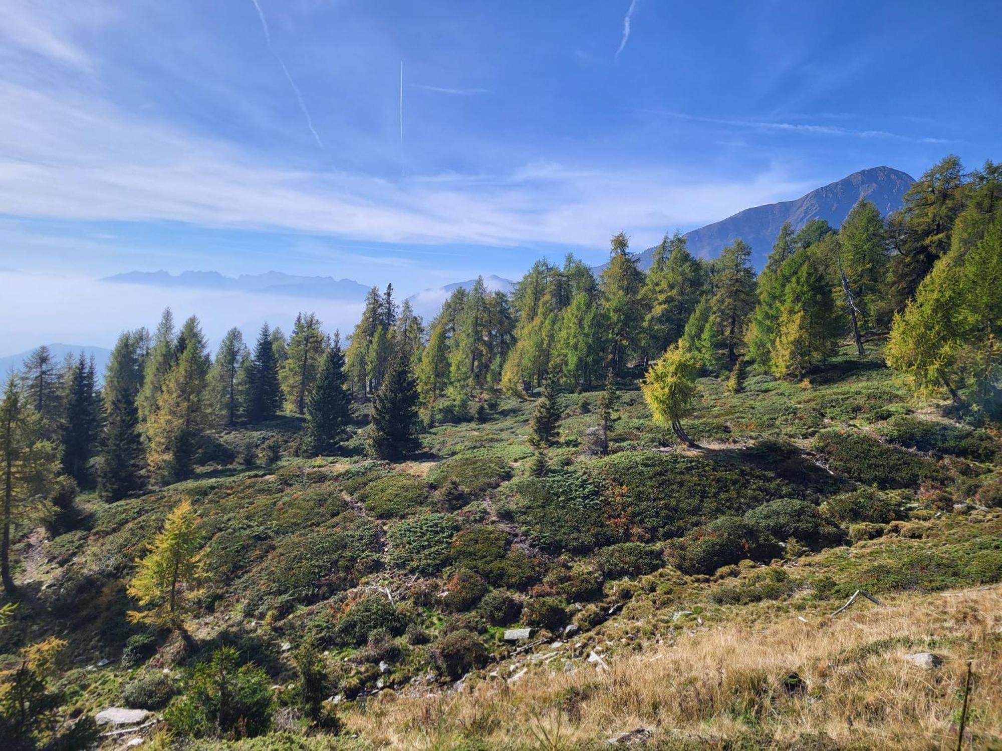 Natur Pur Hotel Unterpichl Ultimo Luaran gambar